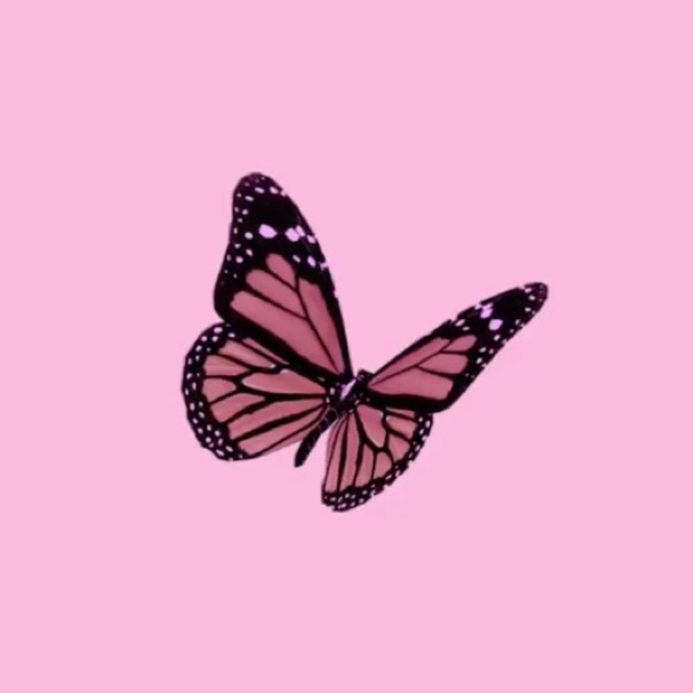 Meet your Posher, Gia